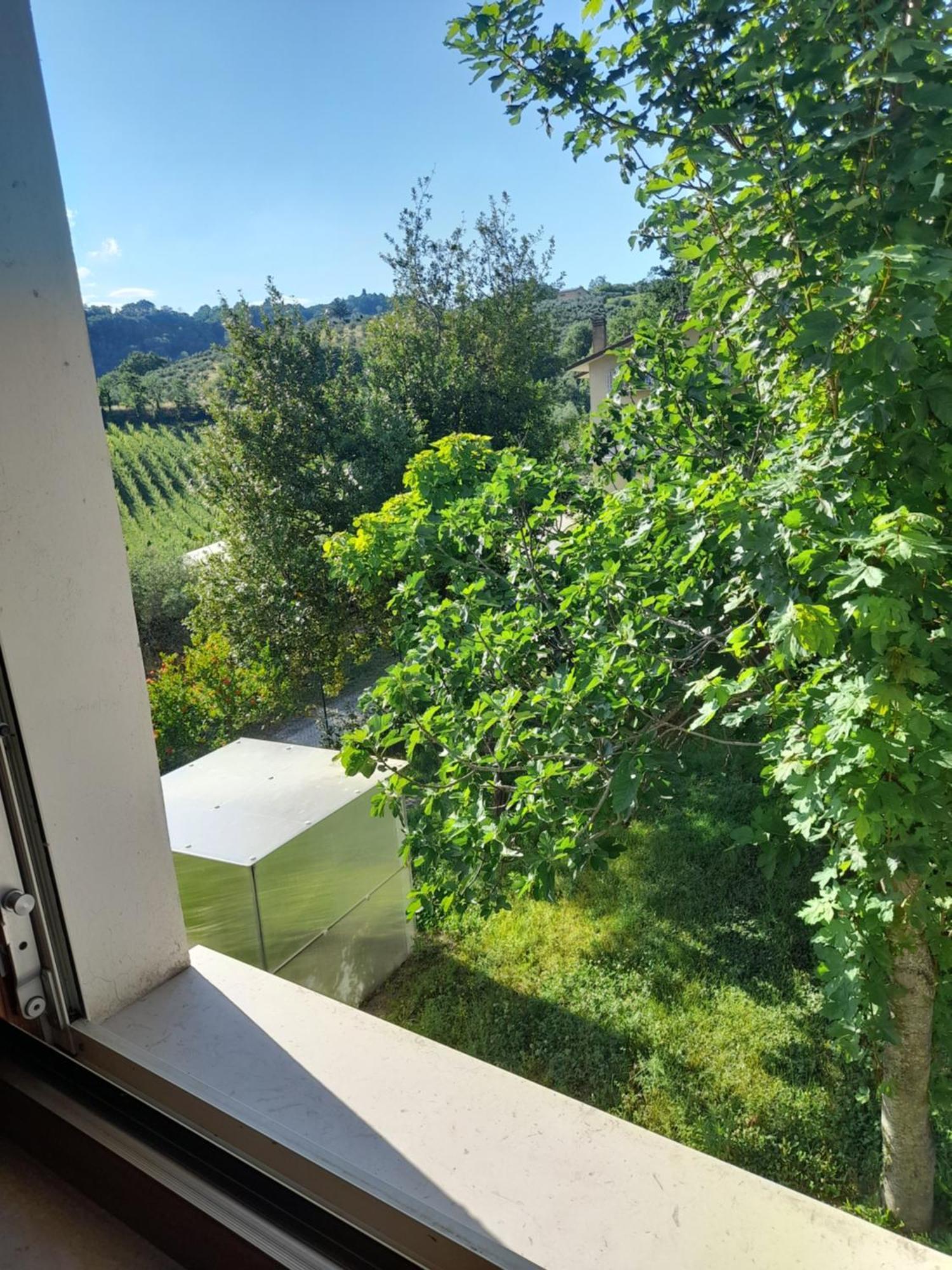 Camping Agriturist Sant'Anna Castelplanio Стая снимка
