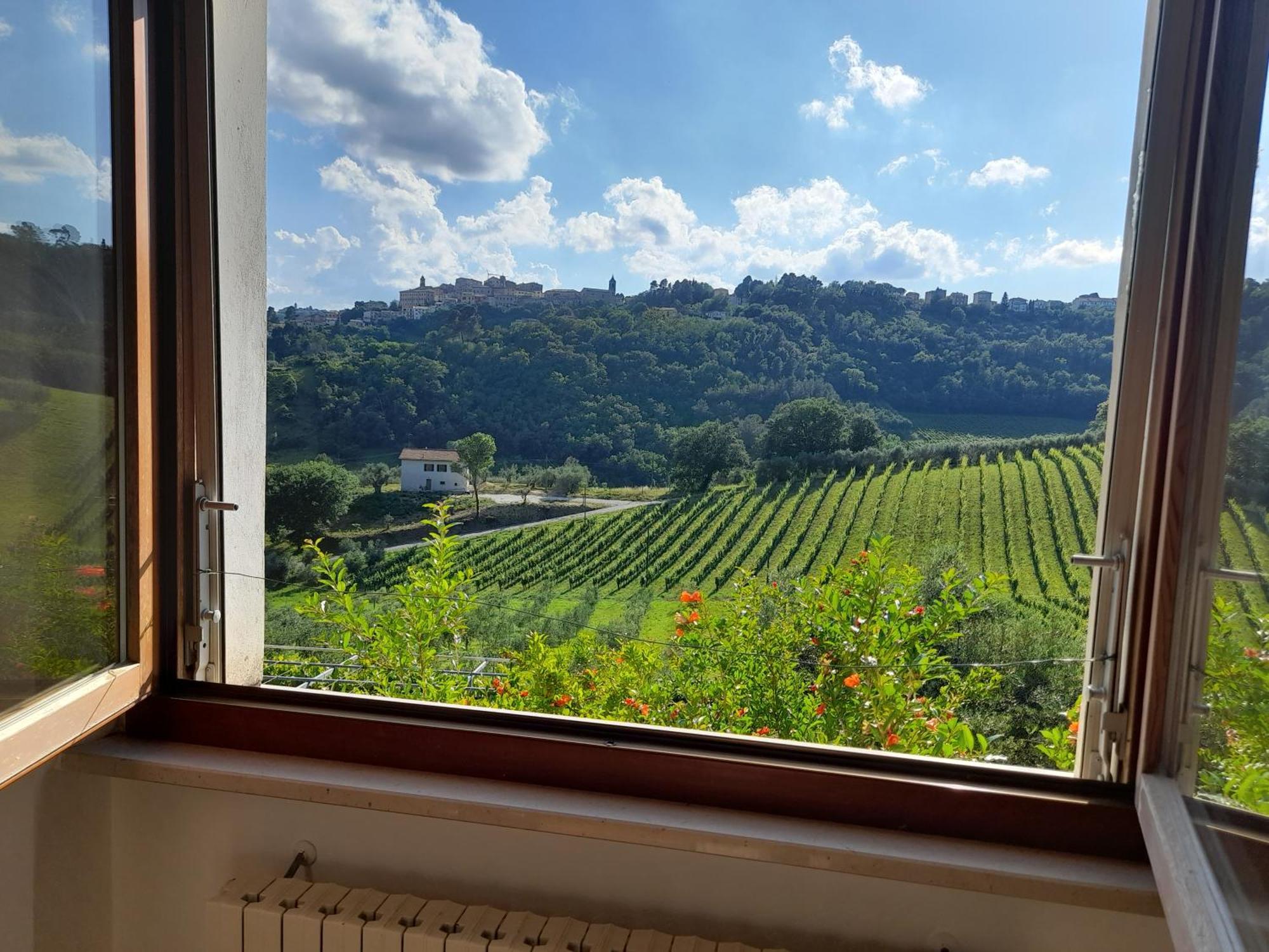 Camping Agriturist Sant'Anna Castelplanio Стая снимка