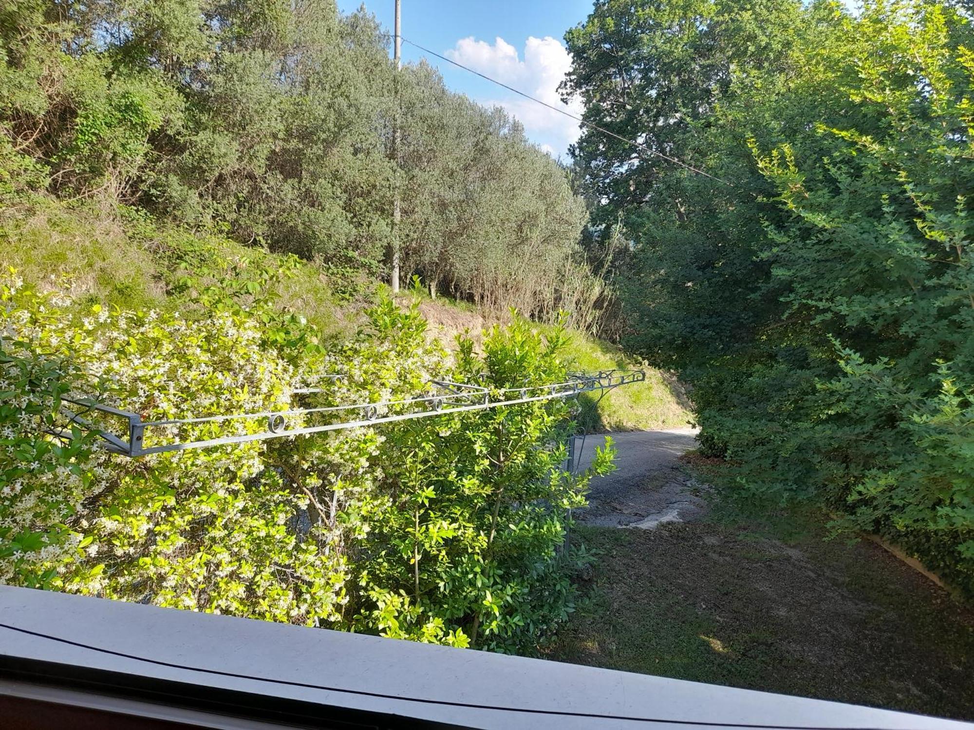 Camping Agriturist Sant'Anna Castelplanio Стая снимка