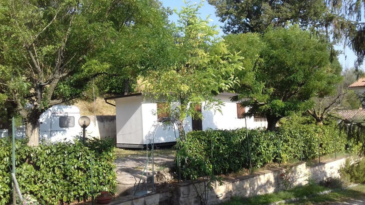 Camping Agriturist Sant'Anna Castelplanio Екстериор снимка