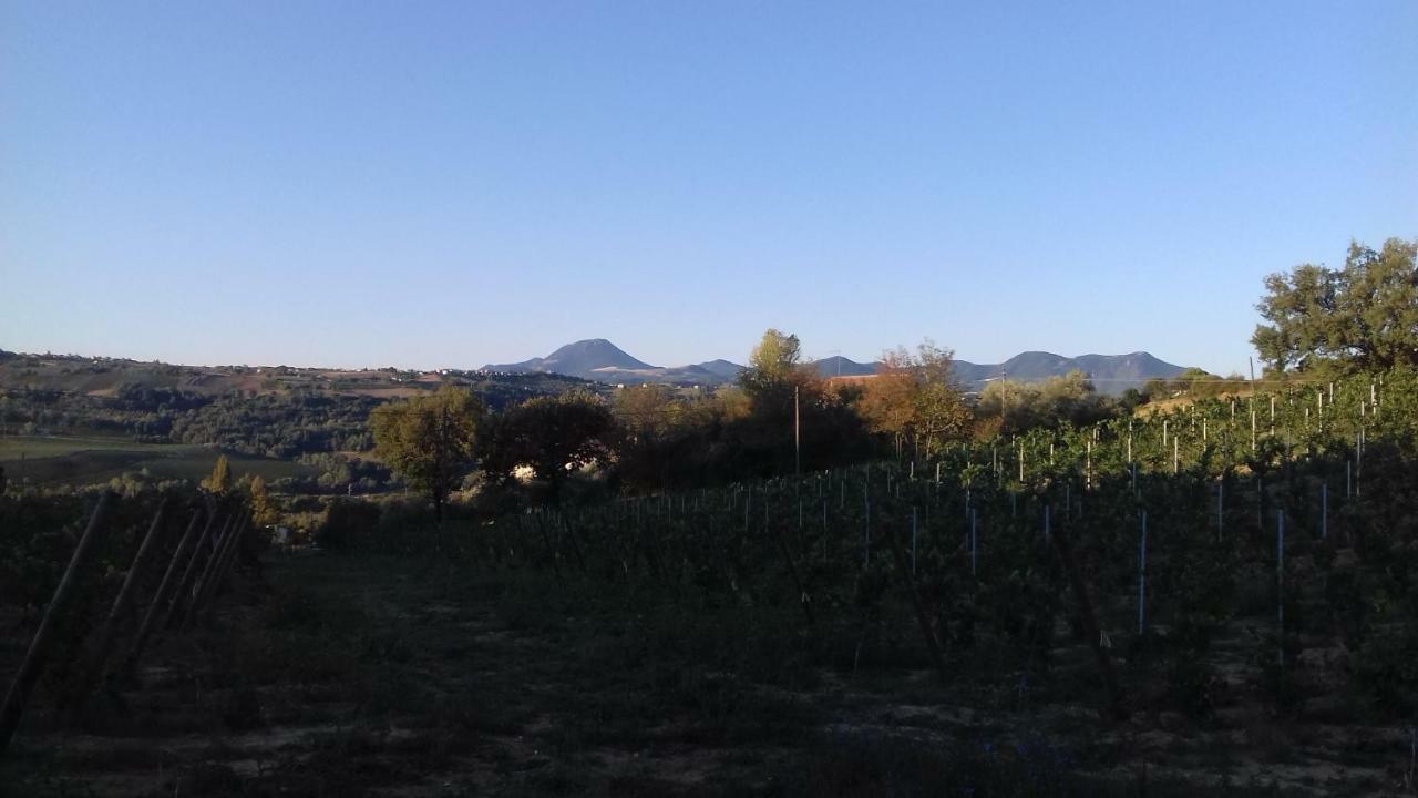 Camping Agriturist Sant'Anna Castelplanio Екстериор снимка